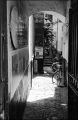 N129_0019_p.jpeg