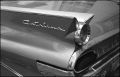 N129_0025_p.jpeg
