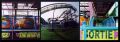 Tryp-WildMouse-Fofo.jpeg