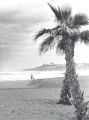 pl-sanjuan1.jpg