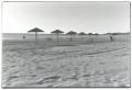 pl-sanjuan4.jpg