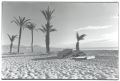 pl-sanjuan5.jpg