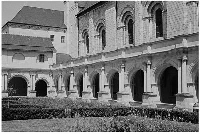 anjou-4.jpg