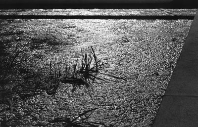 Confluence de nuit
