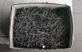 400TMAX1600004.jpg