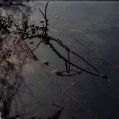 img006rec.jpg