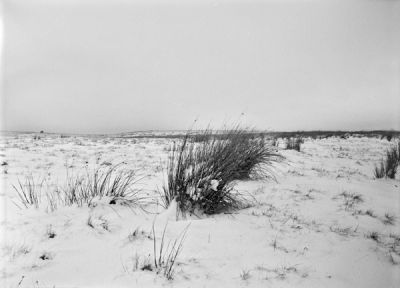 MF_054_08.jpg