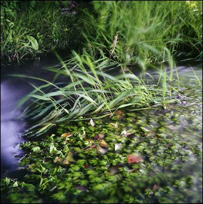 moret009.jpg