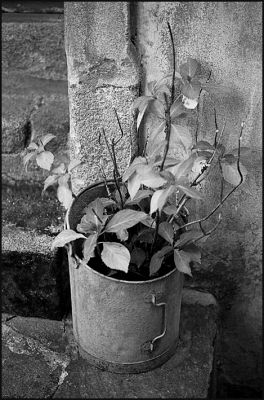 trentemoult_010.JPG