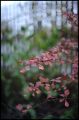 DSC_1605.jpg