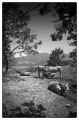 Nom du fichier=Road_trip_Sedella_027Forum.jpg
Taille du fichier=398Ko
Dimensions : 533x800
Ajouté le : 05 Septembre 2022 Road_trip_Sedella_027Forum.jpg