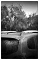 Nom du fichier=Road_trip_Sedella_062Forum.jpg
Taille du fichier=279Ko
Dimensions : 533x800
Ajouté le : 05 Septembre 2022 Road_trip_Sedella_062Forum.jpg