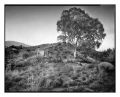 Sedella_ete_2022_4x5_07forum.jpg