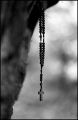 arbres_a_clous_02.JPG