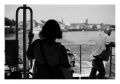 le_pin_27_juin_2010024.jpg