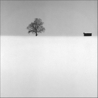 Arbre_Praroman~0.jpg