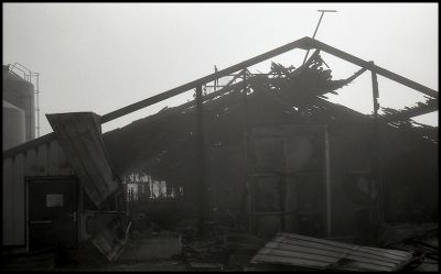 Désolation
