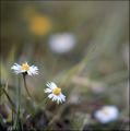 6060506-1bis.jpg