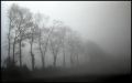 6060622-2.jpg