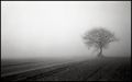 6060624-2.jpg