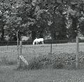 6060749-2.jpg