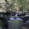 6060807-1-1.jpg