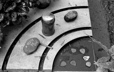 F3_TriX127.jpg