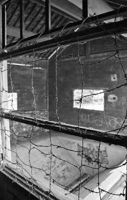 TRix_Xtol026.jpg