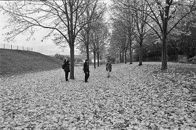 néo_400_d76_1+3_020.jpg