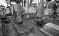F3_TriX005.jpg