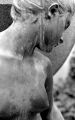 F3_TriX121.jpg