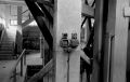 TRix_Xtol027.jpg