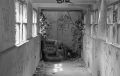 TRix_Xtol035.jpg