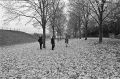 néo_400_d76_1+3_020.jpg