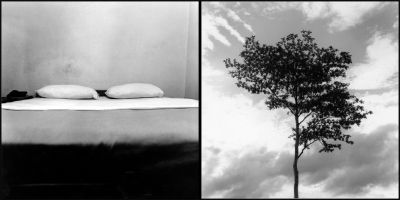 lit-arbre.jpg