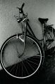 scan0243.jpg