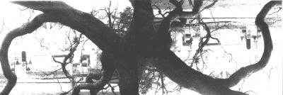 photo2.jpg