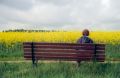 bench.jpg