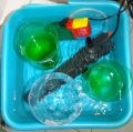 DSC00785_.jpg