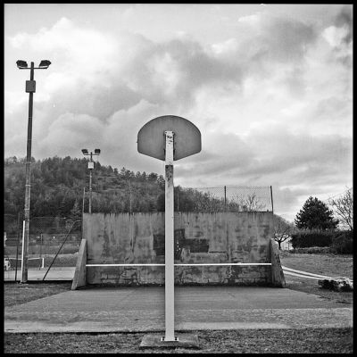 basket
