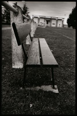 tribune
