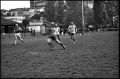 rugby.jpg