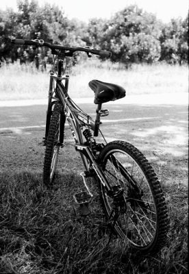 VTT_01.jpg