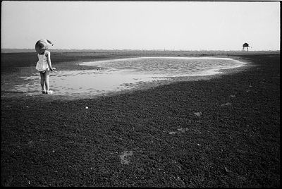 Mots-clés: CanGio Bessa BessaR2m CS35mm Vietnam 