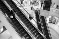 HP5+_25_297_2.jpg