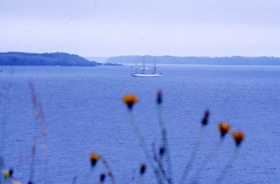 img049_petit.jpg