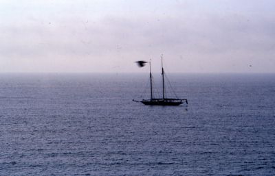 img051_petit.jpg