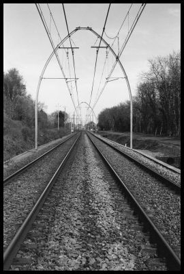 Yashica Electro 35 GSN - Agfa APX 100 - Perceptol en stock
