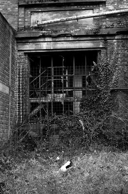 Charbonnages Heusden-Zolder 1
Leica M6TTL + Elmar 50mm / HP5+ 6'30" dans du LC29 1+19
Mots-clés: Friches Charbonnages Leica M6