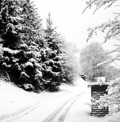 Cul-de-sac campagnard
Rolleicord Va - Ilford FP4+ / Ilfotec LC29 - 12' à 20°C
f/8 à 1/125e.
Mots-clés: hiver,neige,campagne,paysage